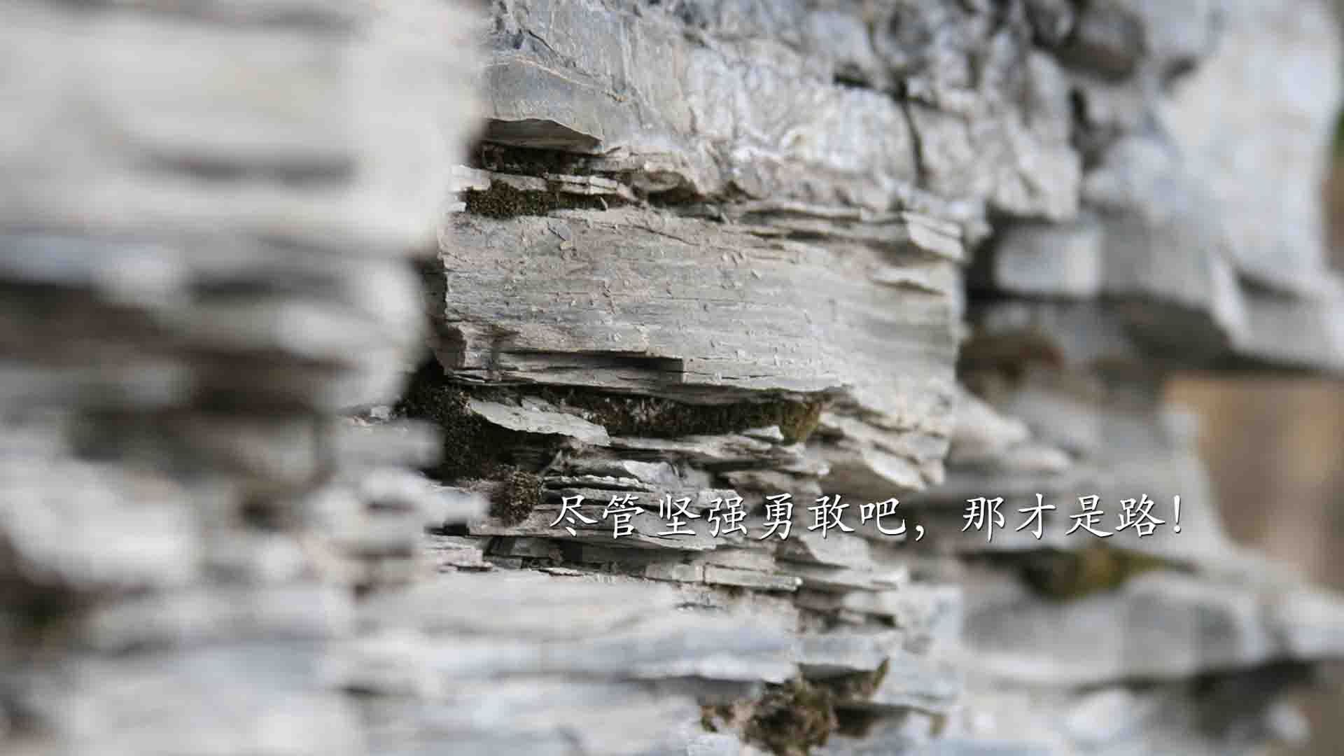 当哈利伯顿的冠军级表现穿越赛场，一场雄鹿翻盘辽宁的魔幻叙事