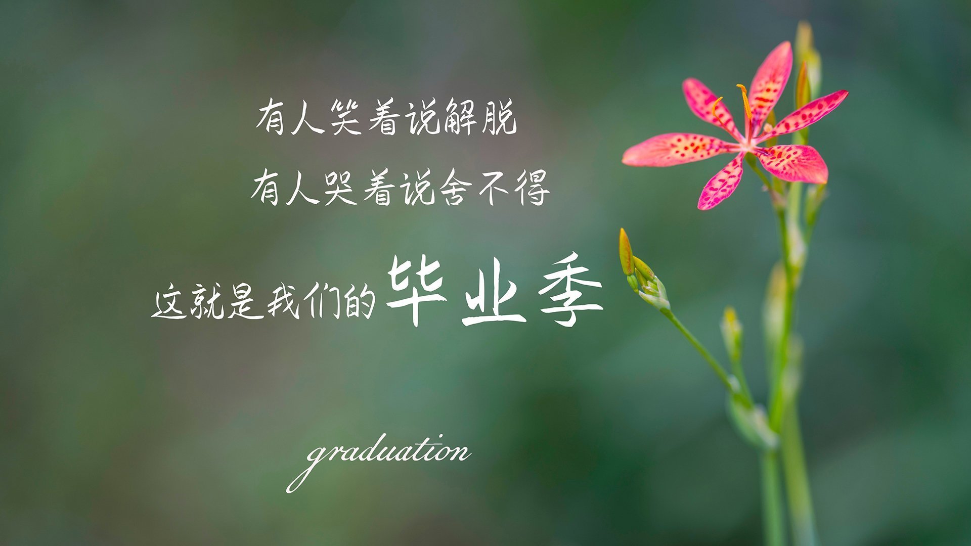 当领袖拉满评级,当信念刺破黎明—同一夜的两个奇迹